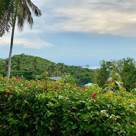 Ko Samui Seaview Pool Villa Seren With Car 蓝赛特海滩 外观 照片