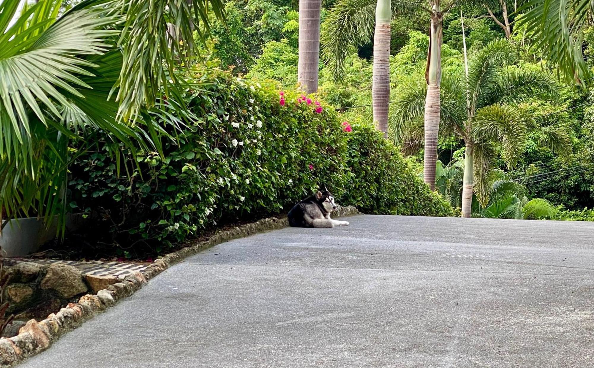 Ko Samui Seaview Pool Villa Seren With Car 蓝赛特海滩 外观 照片
