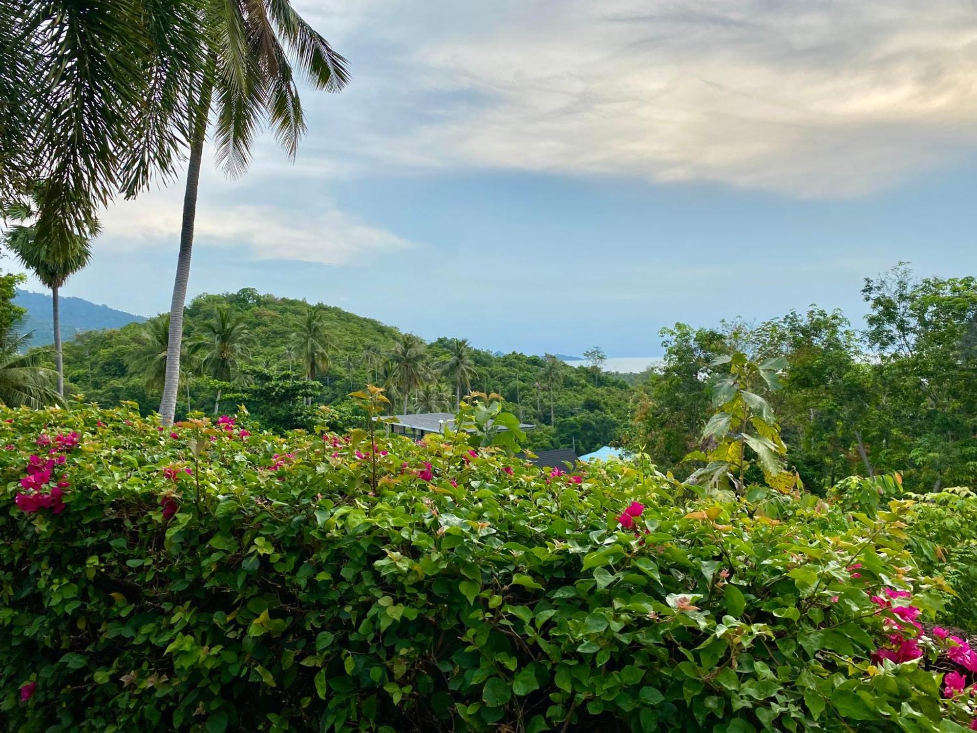 Ko Samui Seaview Pool Villa Seren With Car 蓝赛特海滩 外观 照片
